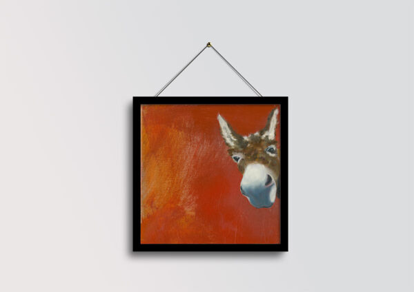 Donkey - Image 3