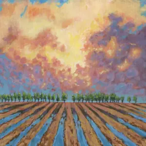 Field At Sunset
