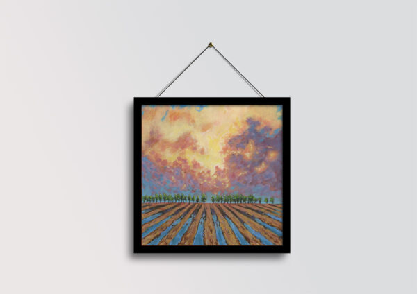 Field At Sunset - Image 3